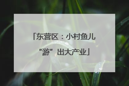 东营区：小村鱼儿“游”出大产业